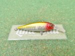 Photo2: Evergreen Bank Shad [3563] (2)